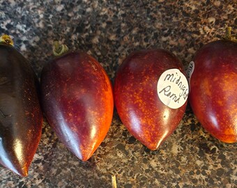 Tomato, Giant Oxheart , Large Tomato Variety Seeds: Totally Tomatoes