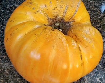 Orange Jazz Tomato Seeds - Etsy