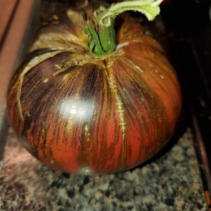 Rebel Starfighter Prime Tomato
