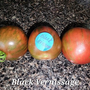 Black Vernissage Tomato