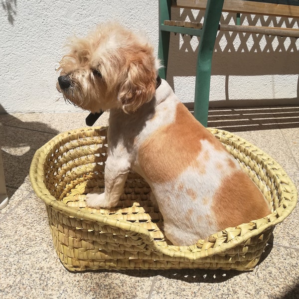 Pet bed Basket-Palm Leaf pet bed Basket