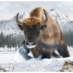 May include: A digital art print of a bison in a snowy landscape. The bison is brown and tan, with large horns and a bird perched on its back. The background features mountains, trees, and flying birds.