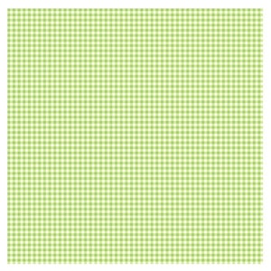 Gingham Check Green by Susybee for Clothworks, Baby Shower Giftidea, Baby Girl, Gingham Print, Binding, Borders, Quilting Cotton image 1