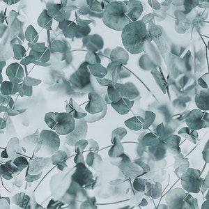 Farmhouse Blooms Mist from Hoffman California Spectrum impression numérique, belle touche ou mélangeurs, scène brumeuse de feuilles d'eucalyptus, teinte bleue