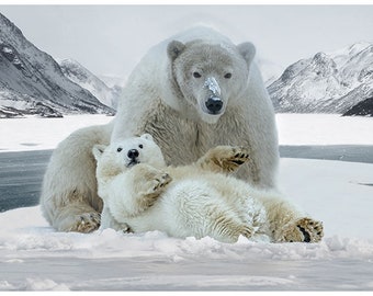 Call of the Wild Stunning White Polar Bear Winter Scene, Frost 31.5" x 42.5", Spectrum Digital Print Hoffman California, Digital Panel