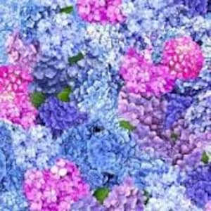 Spring Dream from the Hydrangea Dreams Collection, Michael Miller, Quilting Cotton, Quilting, Sewing, Crafting 100% cotton, Springtime