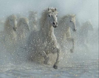 Wild Horses Running Wild, Horse Winter Scene, Snow 36" x 43", Digital Print Riley Blake Designs, Digital Panel