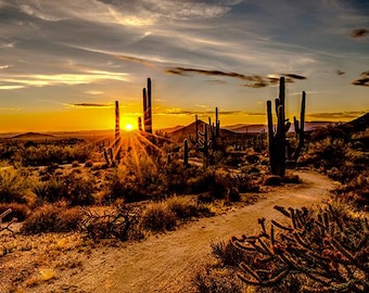 Call of the Wild Stunning Desert Scene, 31.5" x 42", Spectrum Digital Print Hoffman California, Nature and Wilderness
