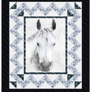 Frame This Quilt Pattern, THREE different Quilt Sizes &quot;Skill Level: Advanced/Beginner, Make a great quilt with the panel today!