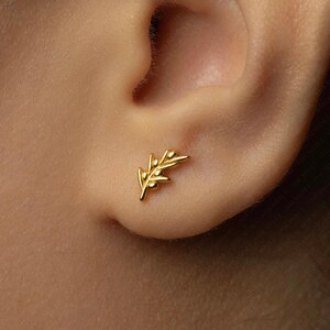 May include: A gold-coloured stud earring shaped like an olive branch. The earring features detailed leaves and olives. The small, delicate earring is shown on an ear.