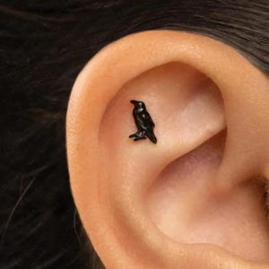 May include: A small, black raven-shaped earring stud is shown in the ear. The earring is a solid, dark colour and has a detailed design of a bird. The earring is placed in the upper ear cartilage.