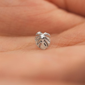 Peut inclure: Une petite boucle d'oreille en forme de feuille de monstera de couleur argentée. La boucle d'oreille présente des nervures détaillées et une finition polie. La boucle d'oreille est présentée sur un fond flou.