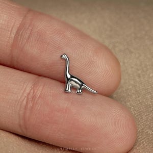 Peut inclure: Une petite figurine de dinosaure argentée et brillante, avec un long cou et une queue. Le Brontosaurus miniature est posé sur un doigt, mettant en valeur son design détaillé. La figurine est un bijou.