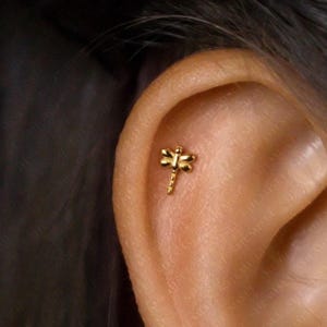 May include: A gold dragonfly stud earring. The small earring features a detailed dragonfly design. The earring is displayed on an ear. The earring is likely made of gold or a gold-coloured metal.