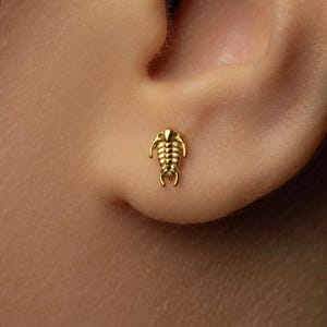 May include: A gold-coloured stud earring shaped like a trilobite, an ancient marine arthropod. The small earring has detailed segments and appendages. The earring is worn on an ear.