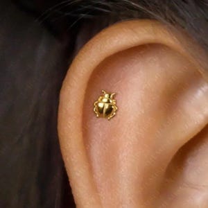 May include: A gold ladybird stud earring is shown on an ear. The earring is small and detailed, with a textured surface and a shiny finish. The ear is a light skin tone, and the background is blurred.