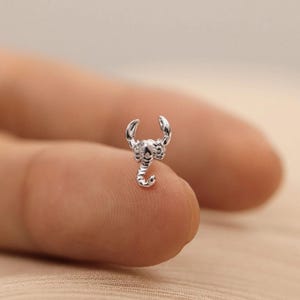 May include: A tiny, silver scorpion charm. The scorpion is intricately detailed, featuring curved pincers, a segmented body, and a curled tail. The charm is probably made of metal and is set against a blurred backdrop.