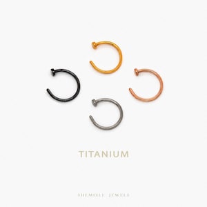 Peut inclure: Quatre anneaux de nez noirs, dorés, or rose et argentés. Les anneaux sont de forme circulaire avec un petit clou à une extrémité. Le mot "TITANIUM" est imprimé sous les anneaux. La marque "SHEMISLI JEWELS" est imprimée en dessous.