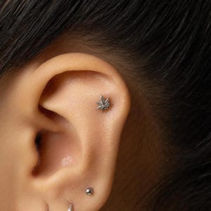 May include: A silver cannabis leaf stud earring is displayed in the upper ear cartilage. The small earring has detailed leaf veins. The ear also features a small silver stud and a silver hoop earring. The skin tone is light.