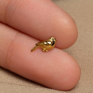 Sparrow Stud, Threadless Flat Back Earring, Minimalist Style