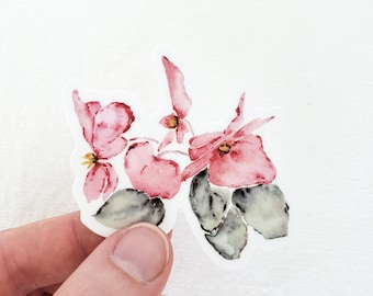 Sticker // Pink Begonia Watercolor