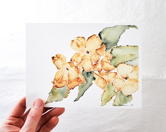 Original Watercolor / 5.5x7.5" / Golden Begonias