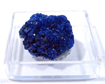 Azurite Floater Nodule Display Specimen Natural Sparkling Blue Stone of Heaven in Clear Display Case FREE USA SHIPPING!