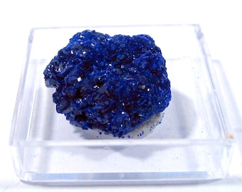 Azurite Floater Nodule Display Specimen Natural Sparkling Blue Stone of Heaven in Clear Display Case FREE USA SHIPPING!