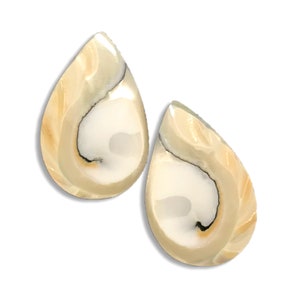 Teardrop Nautilus Tiger Eye Pair 20mm - 25mm Polished Nautilus Sea Shell Rare Natural Shell for Making Jewelry Unique Free USA Shipping!