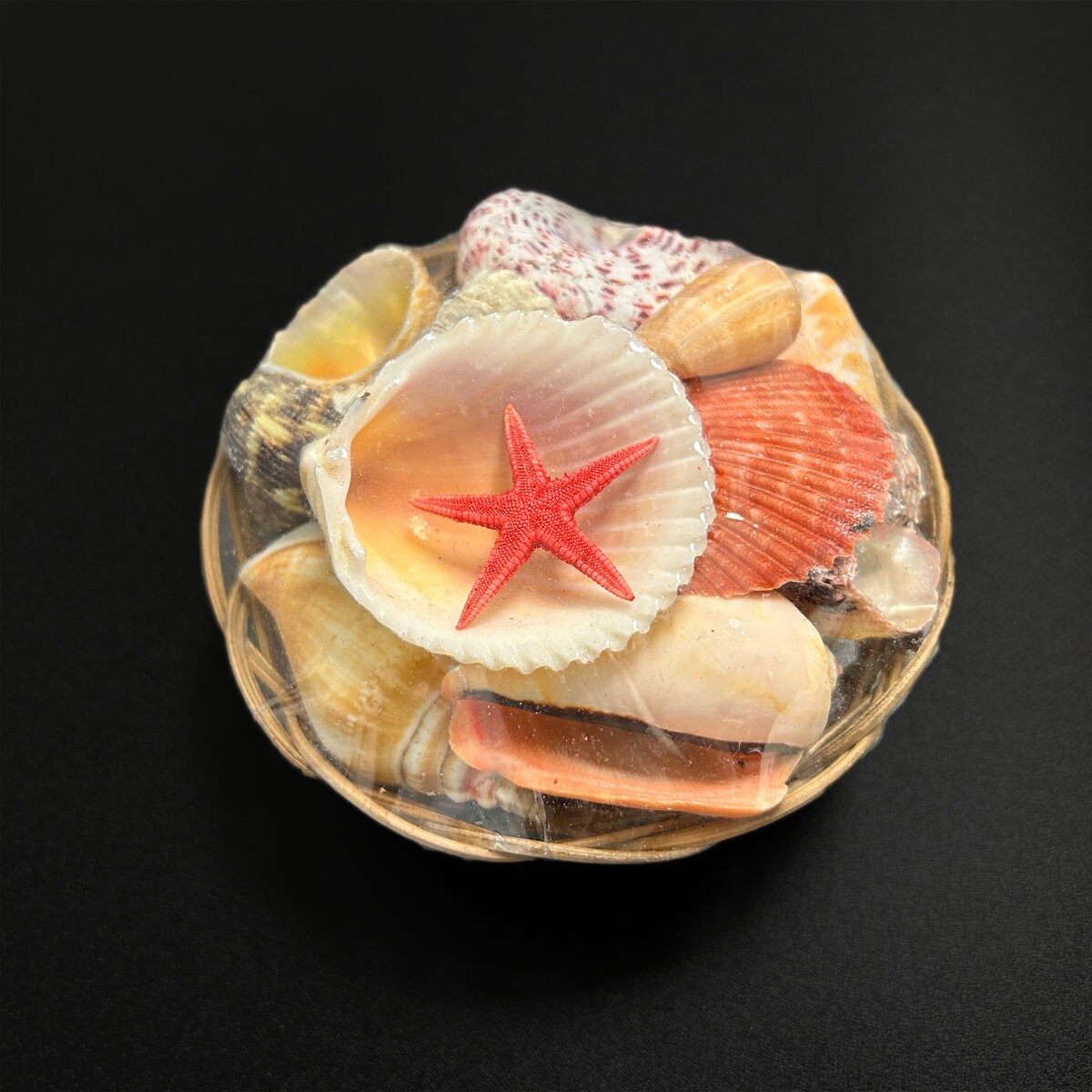 Sea Shell Basket Assorted Star Fish Cowrie Snail Scallop & Clam Shells ...