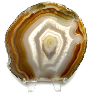 Large Natural Agate Slice Geode Polished Crystal Quartz Randomly Selected FREE USA SHIPPING!