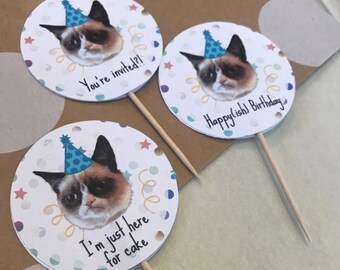 Grumpy Cat Cupcake Toppers - Printed, cut, assembled, shipped to you!