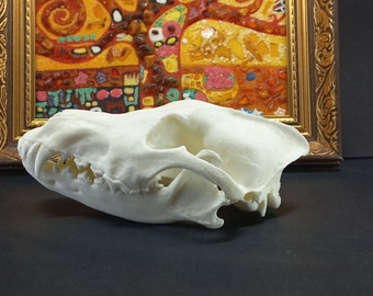 Replica wolf skull. High detail, high-quality plastic, stile figure weight, 1:1 size