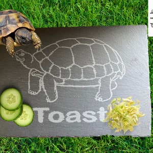 May include: A grey slate serving board with a white outline of a turtle and the word "Toast" engraved on it. There are cucumber slices and a small pile of chopped greens on the board. A small turtle is sitting on the grass next to the board.