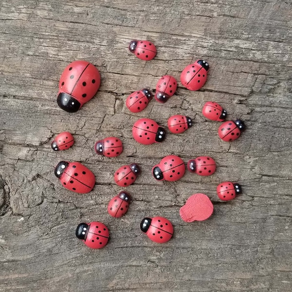 Assorted Size Ladybugs for Crafts and Wood Craft Projects - Package of 20