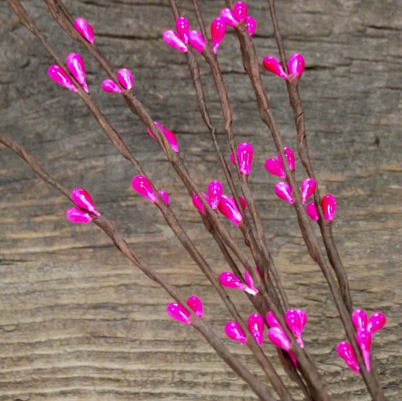 9 Colors 16 Pip Berry Stems Package of 10 Stems Etsy