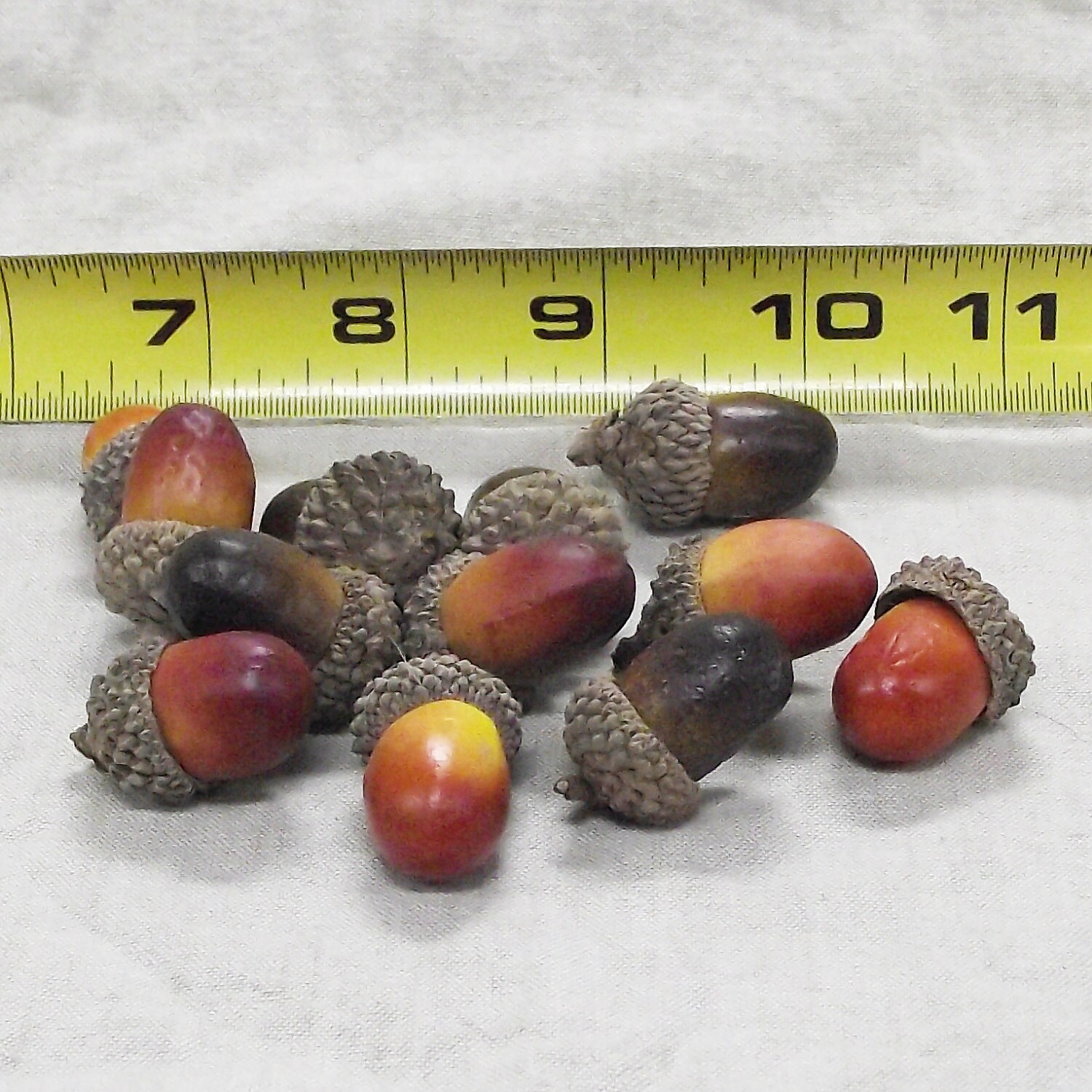 Fantastic Decorative Artificial Acorns in a Package of 12 Etsy