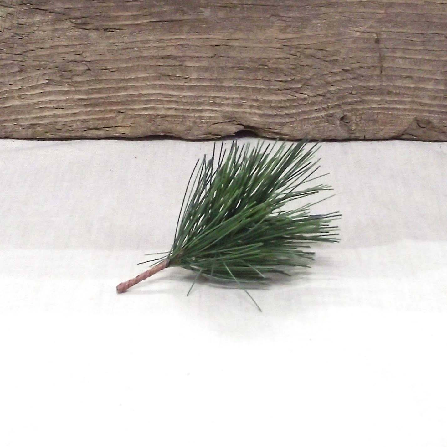 Very Pretty Realistic Evergreen Pine Picks In a Package of Etsy