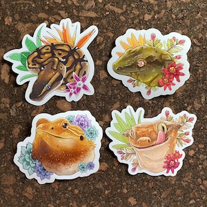 Może przedstawiać: Cztery naklejki z motywem gadów. Jedna przedstawia brązowo-beżowego węża z kwiatami i liśćmi. Kolejna pokazuje zielonego gekona z czerwonymi kwiatami. Przedstawiono również brodatą agamę i gekona z wystawionym językiem.