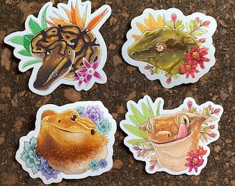 Colección de pegatinas de reptiles
