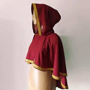 Fantasy cape Victorian capelet Sheer Hooded Cloak Hooded cape made from wine chiffon cloak for renfaire larp romantic or gothic costume