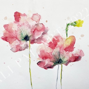 Poppy