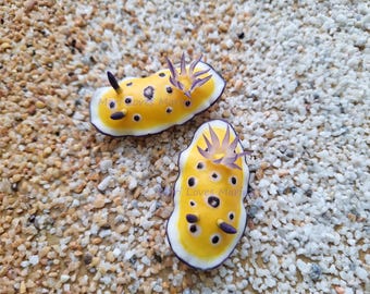 Chromodoris sp., Gift, Souvenir, Divers, Clay, Magnet, Handmade, Nudibranch, Sea Slug, Umiushi, ウミウシ