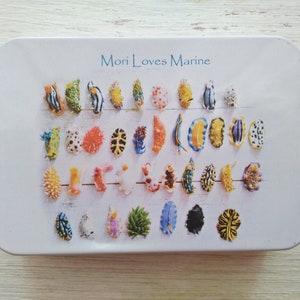 Nudibranch Playing Cards, Poker Cards, Playing Cards, Sea Slug, Nudibranch, Undersea, Souvenir, Scuba Diving, Cute Nudibranch, Umiushi, ウミウシ