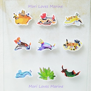 Nudibranch sticker, Waterproof sticker, Gift, Sea slugs sticker, Undersea, Learning sticker, Scuba Diving, Kids gifts, ウミウシステッカー