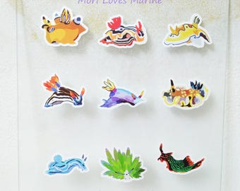 Nudibranch sticker, Waterproof, Gift, Sea slugs, Undersea, Learning, Scuba Diving, Kids gifts, ウミウシステッカー