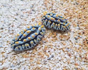Phyllidia varicosa、ウミウシ、ウミウシ、スキューバダイビング、彫刻、マグネット、粘土、ギフト、手作り、冷蔵庫用マグネット、ウミウシ、タテヒダイボウミウシ