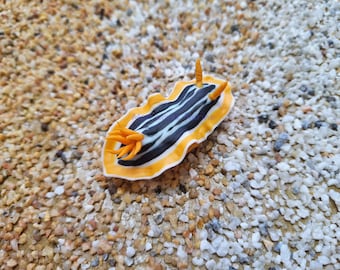 Chromodoris magnifica, Scuba Diving, Souvenir, Clay Magnet, Handmade, Sea Slug, Undersea Creatures, Umiushi, シライトウミウシ