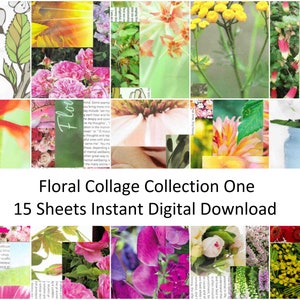 Puede incluir: Un collage floral con una variedad de flores y follaje en tonos rosas, amarillos y verdes. El texto "Floral Collage Collection One" y "15 Sheets Instant Digital Download" se muestra debajo del collage.