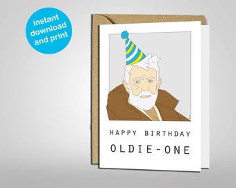 Joke Birthday Hat - Etsy Singapore Joke Birthday Hat - Etsy Singapore